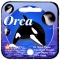 ORCA - MEGA MARBLES - MEGA MARBLES OLD 24+1 (2004-2006) (FACE)